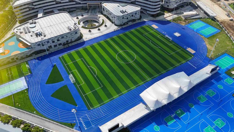 Sports Turf